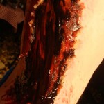 More Gore....
