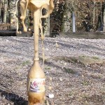 Ein kleiner Reinleger