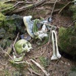 Die skurrilsten Orte der Welt: Der Selbstmord-Wald in Japan, Aokigahara