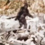 Bigfoot lebt - wissenschaftlicher Beweis