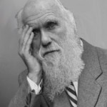 Darwin Award –Preisverleihung an die Besten…Nicht!