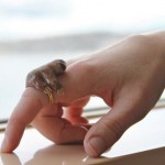 Coole Dinge sind Coole Ringe - Faultierring - Fimoringe (+english version)