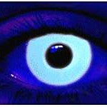 FunLenses2®Trendhunter