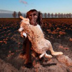 Modern Hunting Photography - morbide Kunst