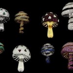 Die luxuriösesten USB-Sticks der Welt - Magic Mushroom Collection