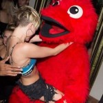 Miley Cyrus Skandale - auf den Plüsch gekommen