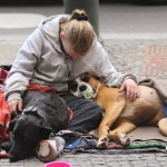 Obdachlos wegen Tierliebe