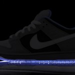 Die coolsten Sneakers der Welt - Premier x Nike SB Dunk Low (+English version)