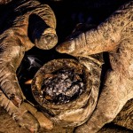 Hygiene: Waschen überbewertet?