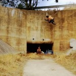 Must-WATCH!!!! BMX Video mit dem Lumia 925