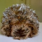 Die verrücktesten Erfindungen der Welt - Cuddlebot