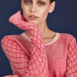 dear Cashmere 1