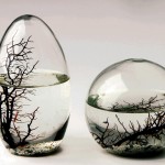 Trendhaustier: Garnelen in einer Ecosphere (+English version)