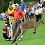 golfkuru
