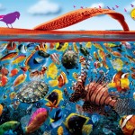 Die besten Flip Flops 2013 - Havaianas (+english version)