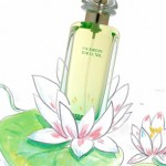 Parfum-Test, die besten Frauenparfums 2013 - Hèrmes 