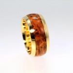 Ringe aus Dinosaurierknochen - Johan Rust Jewellery (+English version)