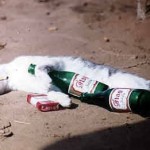 Einen Kater kurieren (+English version)