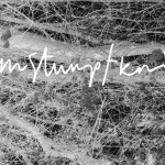 Kim Stumpf Knitwear, for women - Fashion News Fall/Winter Collection 2013/14 (+English version)