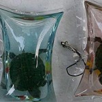 Neuer Tierquäler-Trend in China: Lebende Schlüsselanhänger