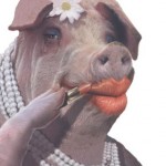 lipstickpig