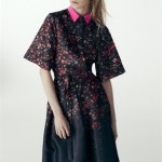 preen 2