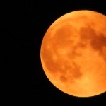 Rusty Moon Night