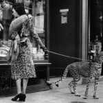 Lifestyle-Trends: Großkatzen an der Leine (+English version)