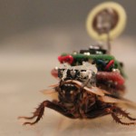 Die ersten Cyborgs für Zuhause