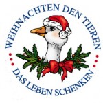 Die besten süßen Rezepte für den Winter: Veganes Backen (+English version)