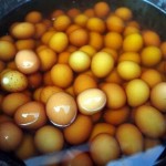 viginegg1
