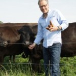 wagyu